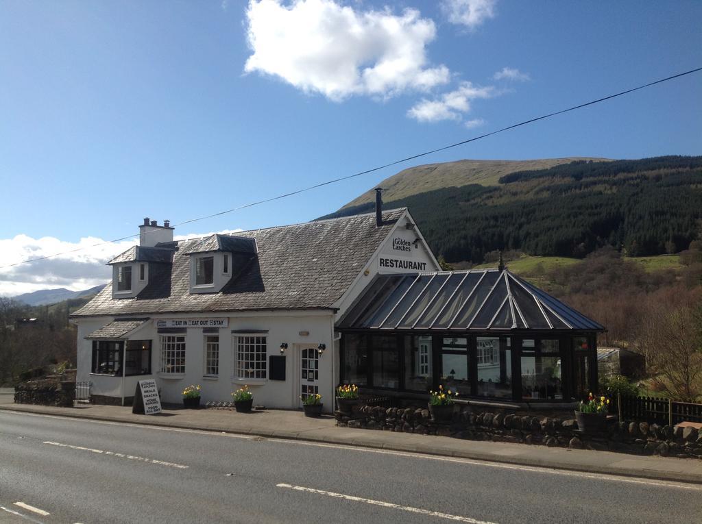 The Golden Larches 3*